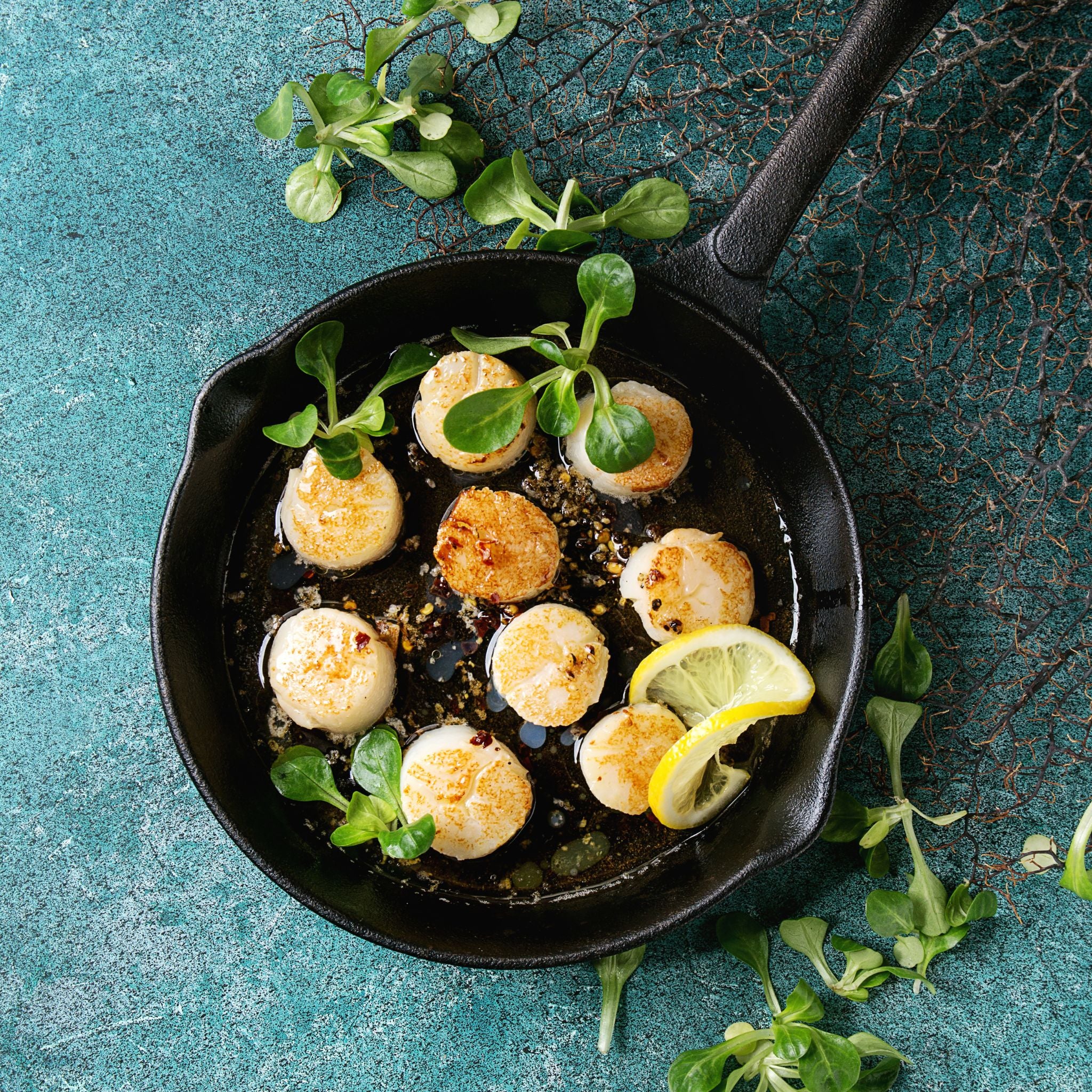 Wild Caught Large Scallops for Sale – Carmelita Seafood Market