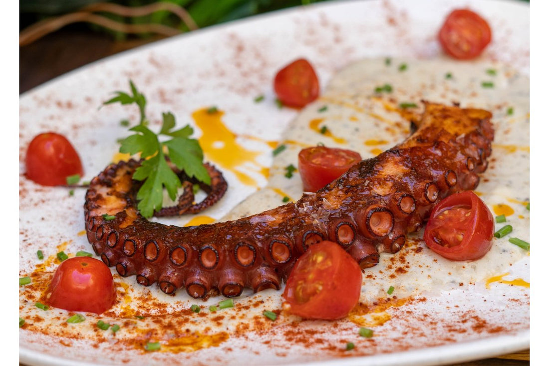 The Essential Guide to Octopus Tentacles