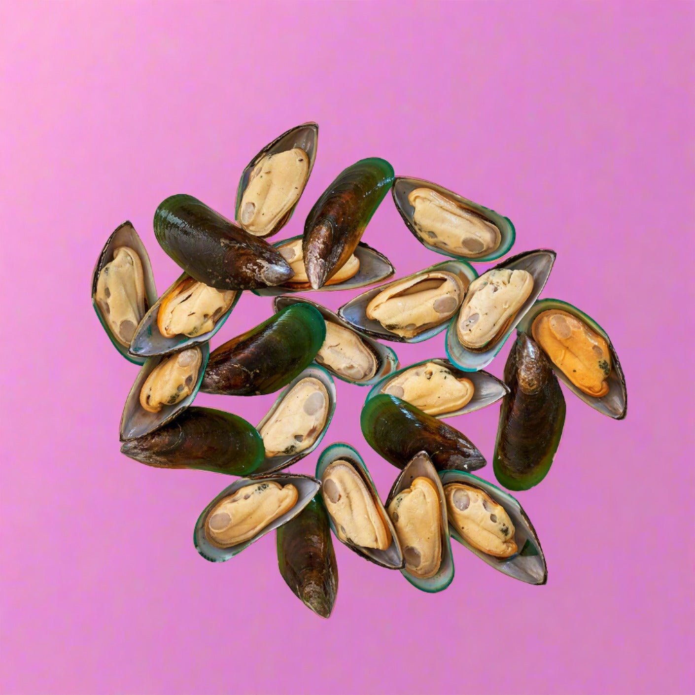 New Zealand Mussels