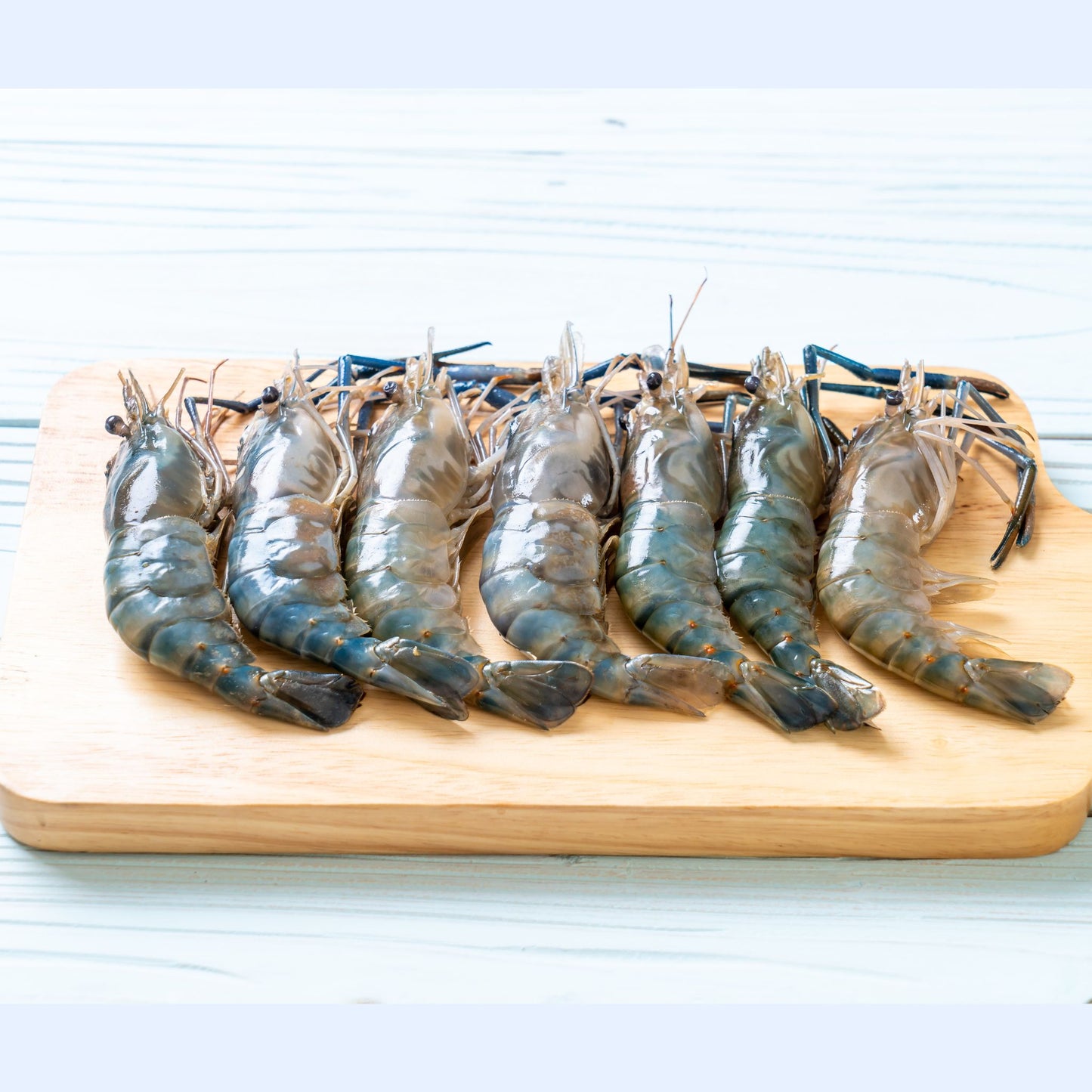 Wild Caught Medium Blue Shrimp