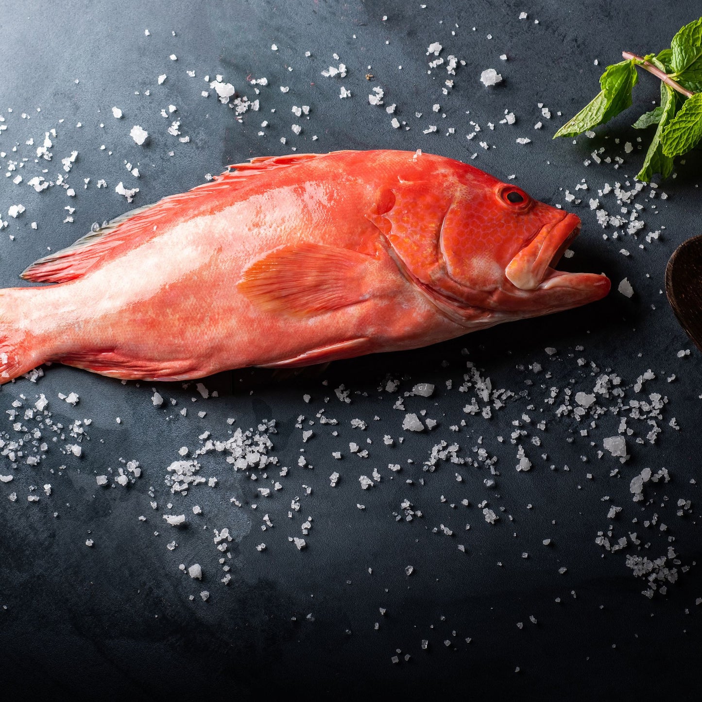 Wild Caught Whole Fish Red Snapper