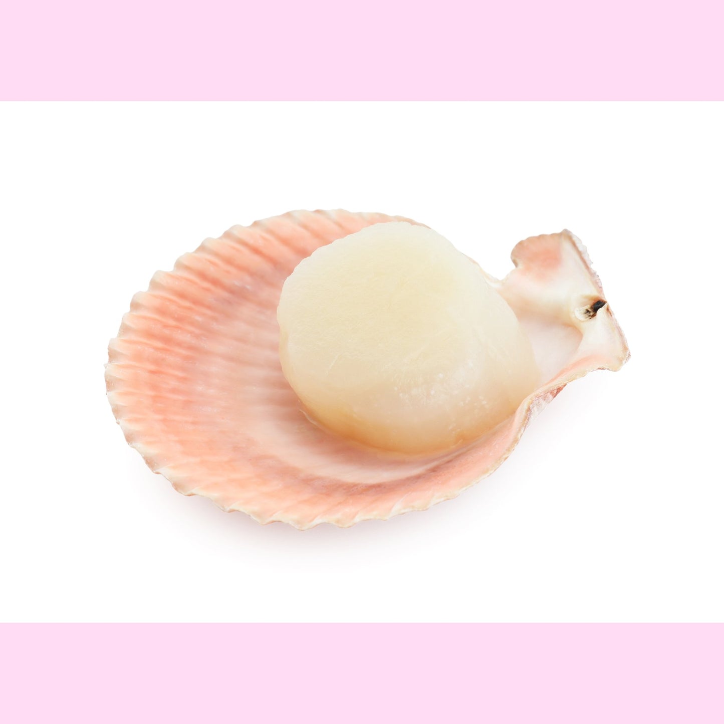 Wild Caught Large Scallops